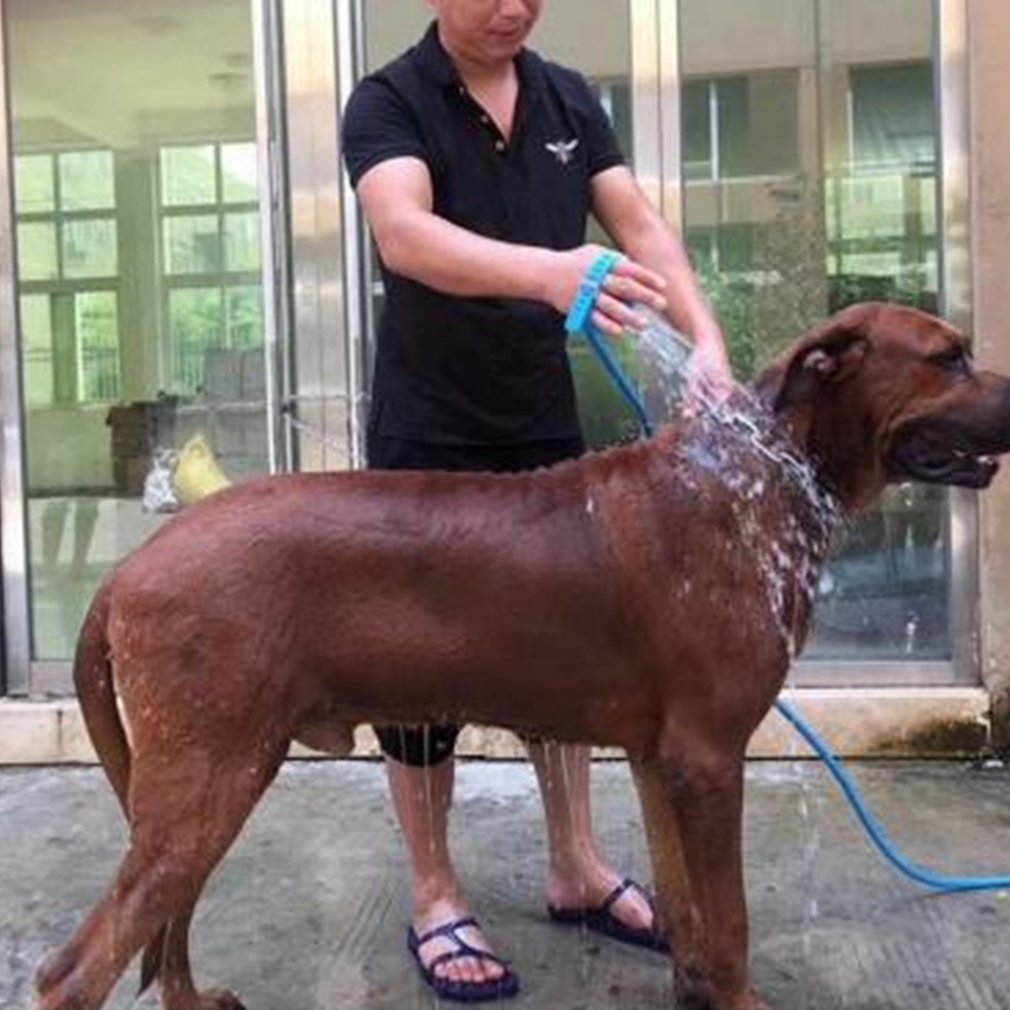 Pets Massage Shower